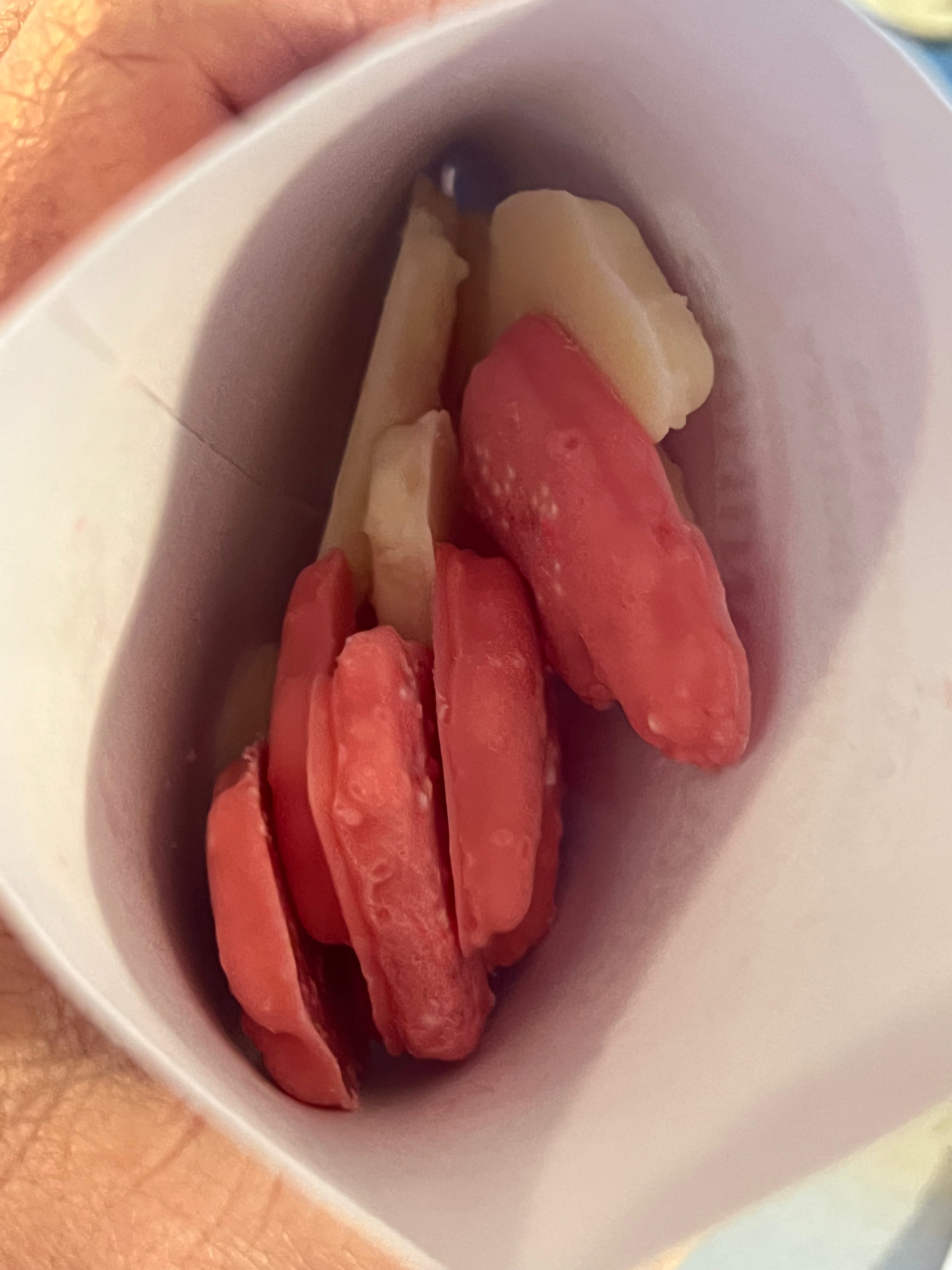 Circus Animal Wax Melts